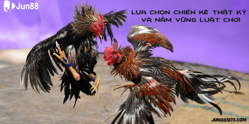 Lựa chọn các chiến thuật cho riêng mình để chiến thắng