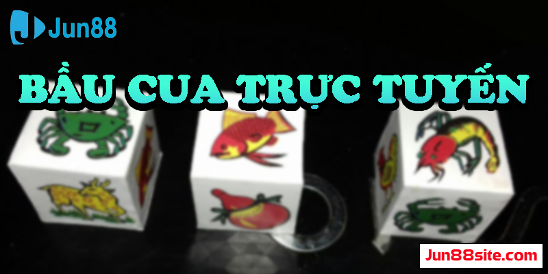 BAU-CUA-TRUC-TUYEN-LA-GI-TIM-HIEU-CACH-CHOI-HIEU-QUA