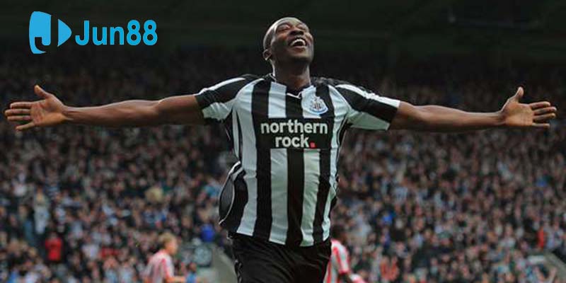 Shola Ameobi