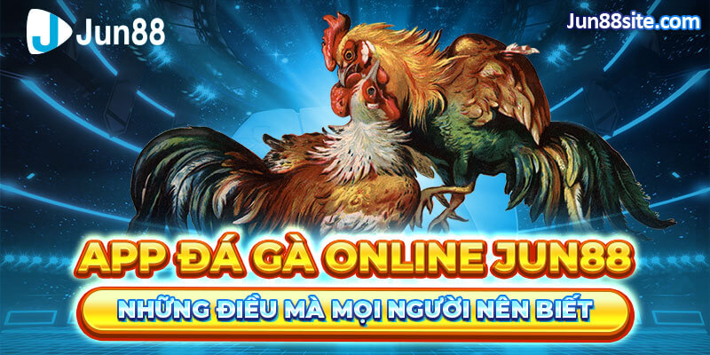 Giới thiệu đôi nét về app đá gà online của nhà cái uy tín Jun88