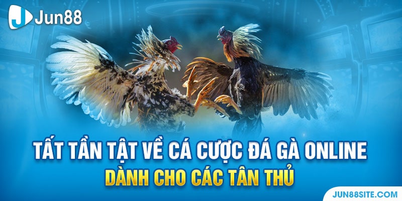 Tất Tần Tật Về Cá Cược Đá Gà Online Dành Cho Các Tân Thủ