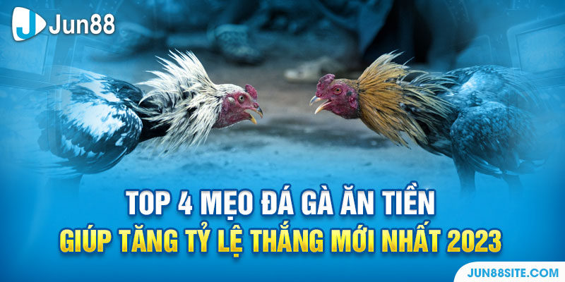 Top 4 Mẹo Đá Gà Ăn Tiền Giúp Tăng Tỷ Lệ Thắng Mới Nhất 2023