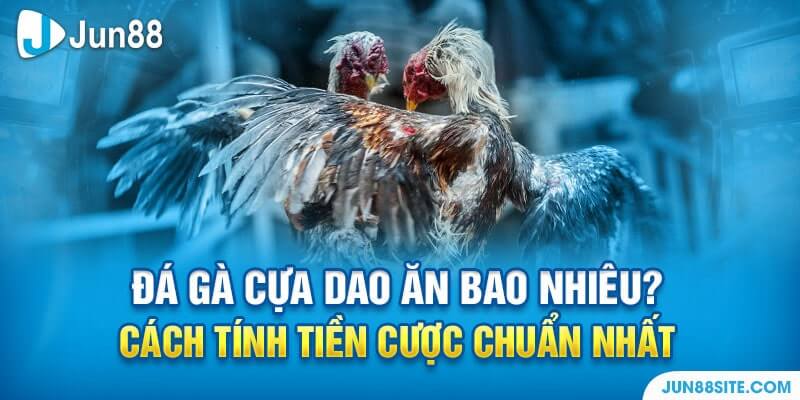 Đá Gà Cựa Dao Ăn Bao Nhiêu? Cách Tính Tiền Cược Chuẩn Nhất