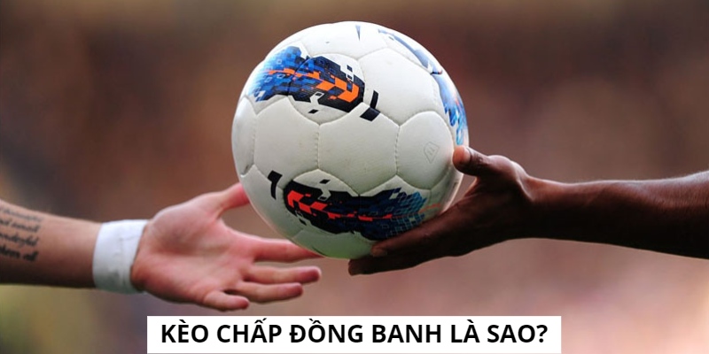 Thể loại cược chấp đồng banh là sao?